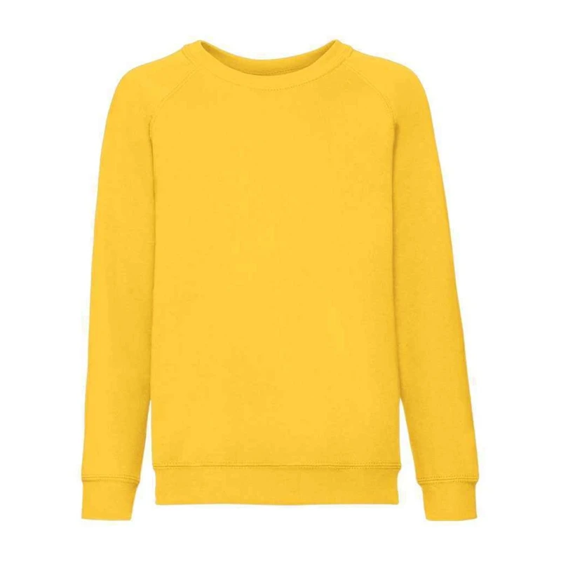 Image of Fruit Of The Loom SS8B boys's Children's sweatshirt in Multicolour