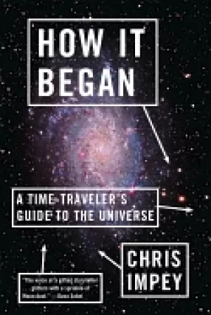 Image of how it began a time travelers guide to the universe