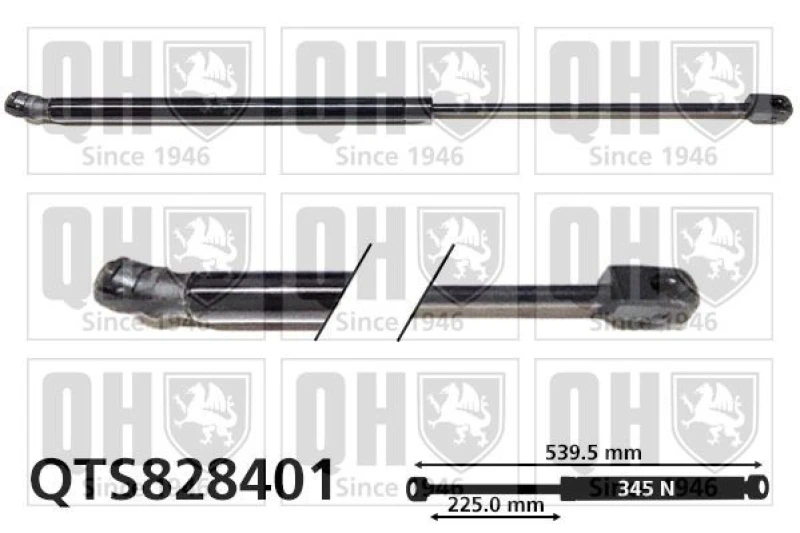 Image of QUINTON HAZELL Tailgate strut QUINTON HAZELL QTS828401