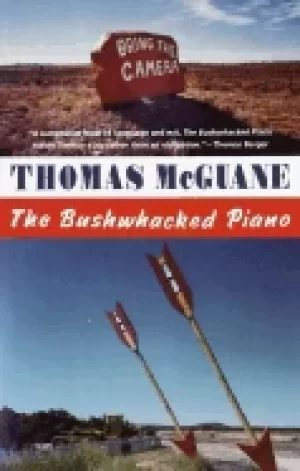 Image of bushwhacked piano