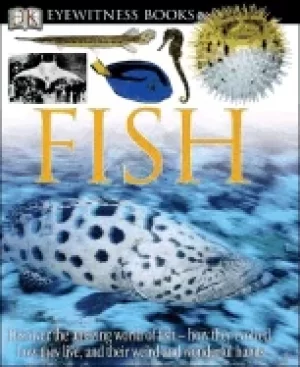 Image of dk eyewitness books fish discover the amazing world of fish how they evolve