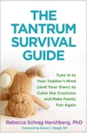 Image of tantrum survival guide tune in to your toddlers mind and your own to calm t