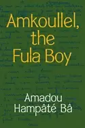 Image of amkoullel the fula boy