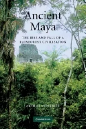 Image of ancient maya the rise and fall of a rainforest civilization