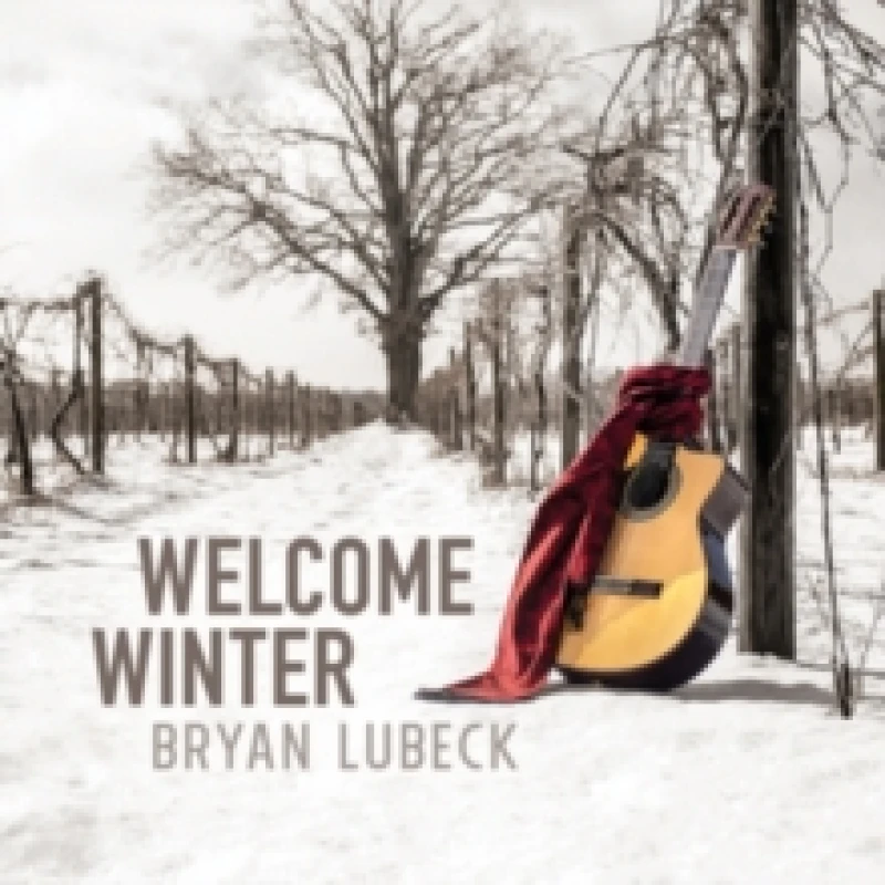 Image of Welcome winter Vinyl