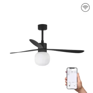 Image of Amelia Large Ball LED Black Ceiling Fan Smart 20W 2700K, 6 Speed