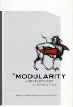 Image of modularity in development and evolution