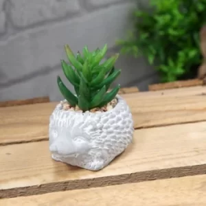Image of Mini Cement Hedgehog Planter with Succulent