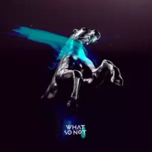 Image of Not All the Beautiful Things by What So Not Vinyl Album