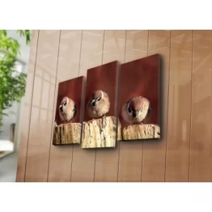 Image of 3NATPAT-3 Multicolor Decorative Canvas Painting (3 Pieces)