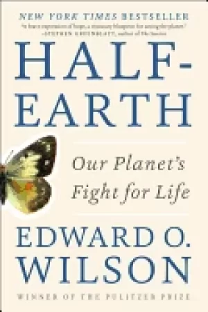 Image of half earth