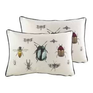 Image of Eden Insects Twin Pack Polyester Filled Cushions