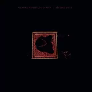 Image of Graham Costello - Second Lives Vinyl