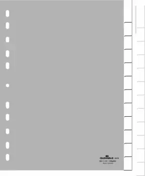 Image of Durable 6410-10 Blank tab index Polypropylene (PP) Grey