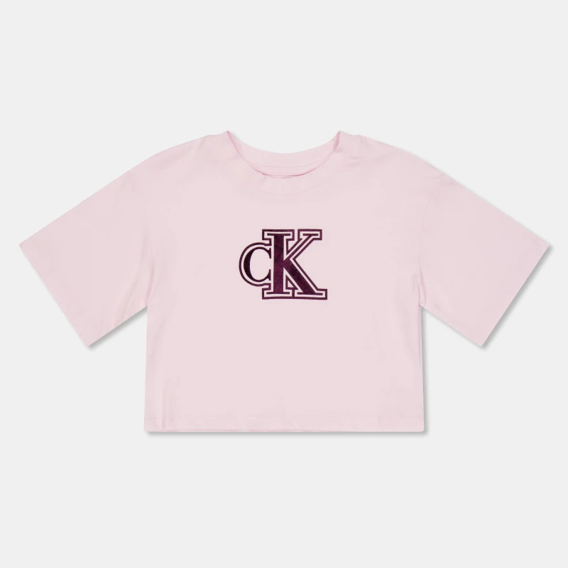 Image of Calvin Klein Jeans Kids Velvet Boxy T-Shirt Pearly Pink female 14Y