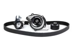 Image of SKF Water Pump + Timing Belt Kit FORD,FIAT,PEUGEOT VKMC 03205 9400830749,9467642480,051660 0516A4,0816G3,0816K5,0816K8,0829F7,0829G1,0829G6,083051
