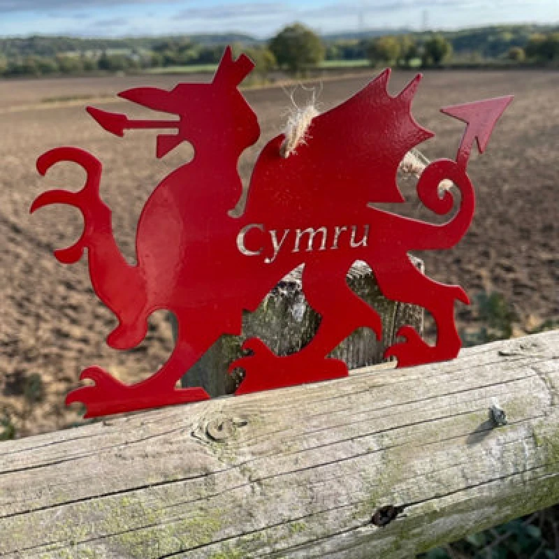 Image of Poppy Forge Hanging Welsh Dragon Garden Art - W20 X H14cm - Red