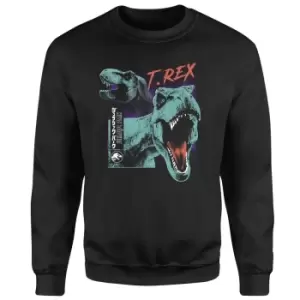 Image of Jurassic Park T-REXES Sweatshirt - Black - L