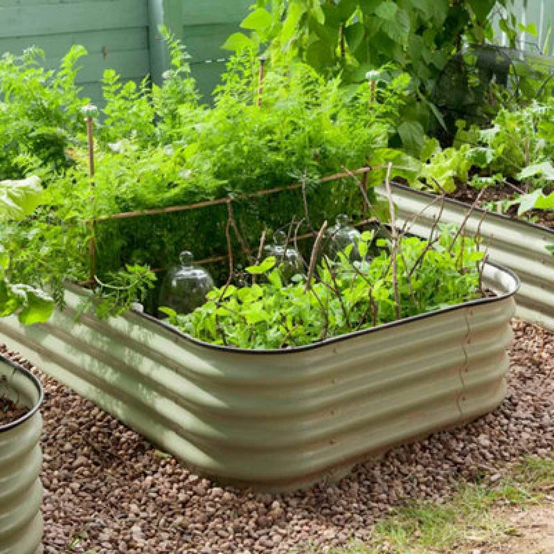 Image of Garden Gear Original Veggie Bed Sage Garden Planting Vegetable Planter Easy To Grow Our Own 2X Veg Bed (Mist Green)