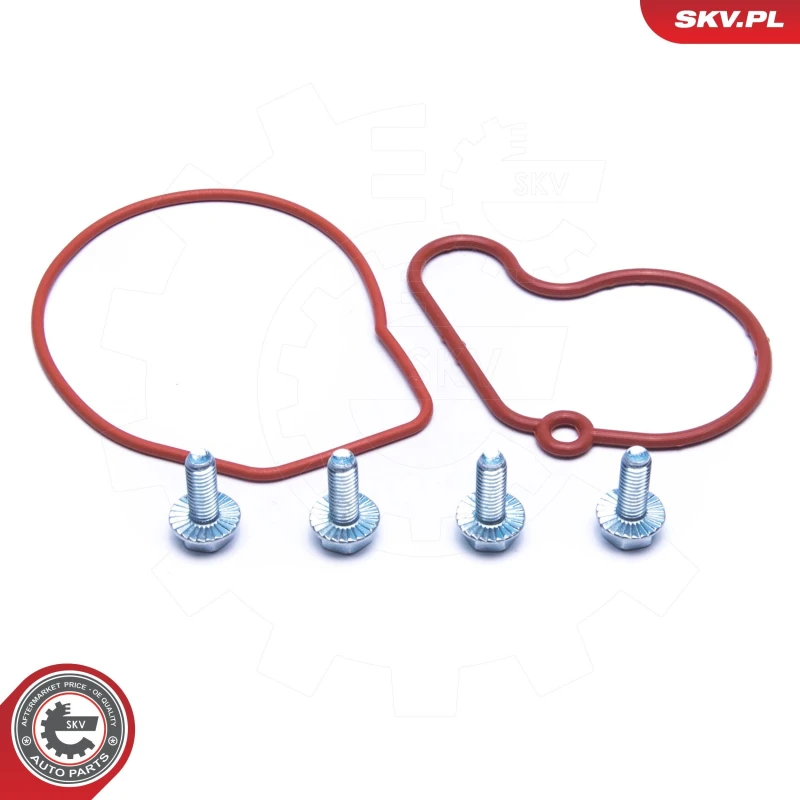 Image of ESEN SKV Repair Kit, vacuum pump (brake system) ESEN SKV 18SKV807