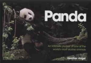 Image of Panda by Heather Angel