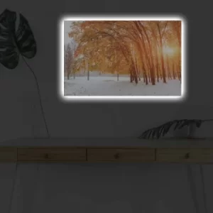 Image of 4570DHDACT-118 Multicolor Decorative LED Lighted Canvas Painting