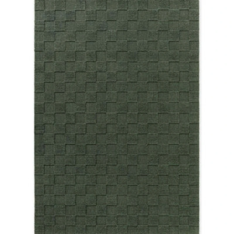 Image of The Rugs Scala Handwoven Wool Rug Geometric Checkered Low Pile In Green