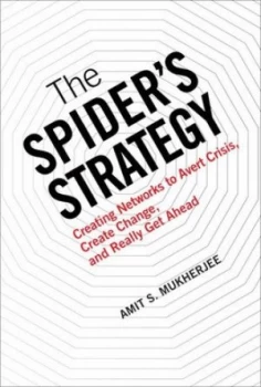 Image of The Spiders Strategy by Amit S. Mukherjee Hardback