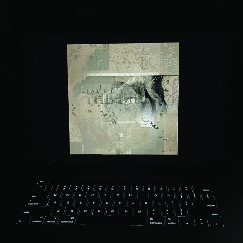 Image of Lambchop - The Bible [CD / Album] Music CDs - Music CD