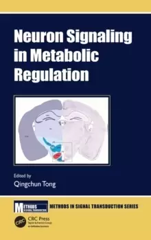 Image of Neuron Signaling in Metabolic Regulation