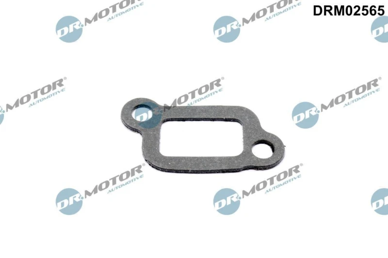 Image of DR.MOTOR AUTOMOTIVE Thermostat housing gasket DR.MOTOR AUTOMOTIVE DRM02565