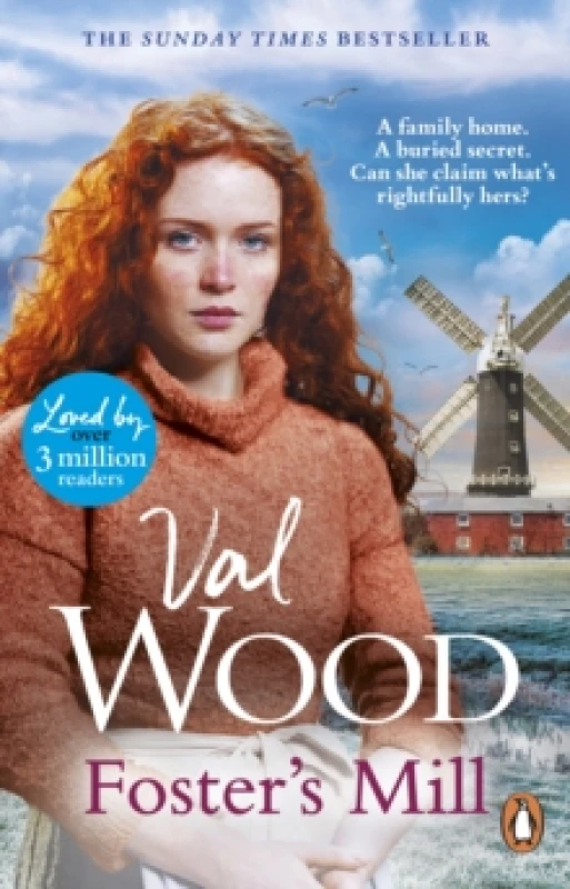 Image of Foster's Mill Paperback / softback