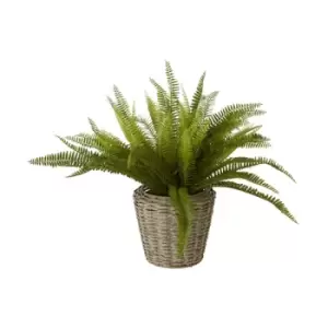 image of Olivia's Freda Planter Succulent Boston Fern Rattan