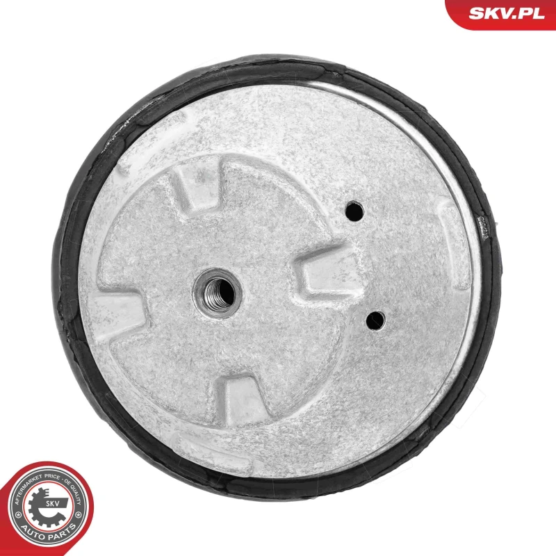 Image of ESEN SKV Engine mount ESEN SKV 75SKV168