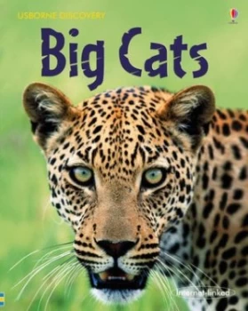 Image of Big Cats by Jonathan Sheikh-Miller Hardback