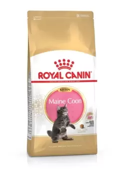 Royal Canin Maine Coon Kitten Dry Food 10kg