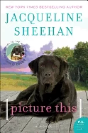 Image of picture this a novel