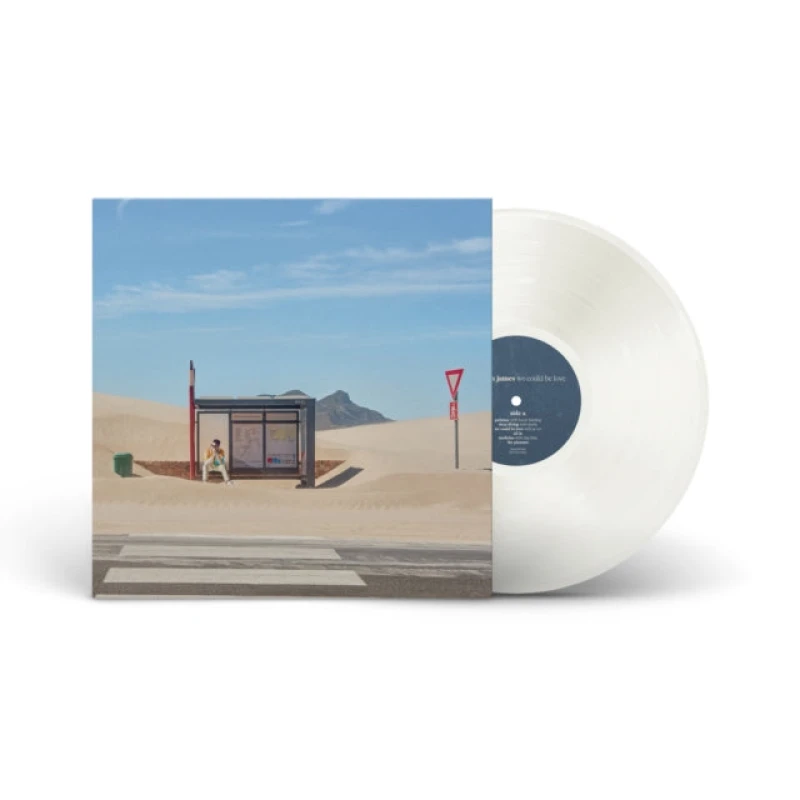 Image of We Could Be Love Vinyl
