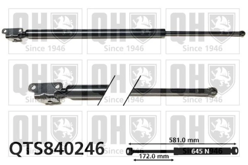 Image of QUINTON HAZELL Tailgate strut QUINTON HAZELL QTS840246