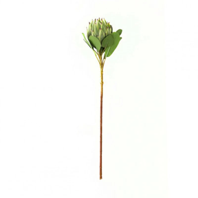 Image of Hill Interiors Protea Protea Artificial Flower Green (One Size)