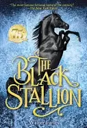 Image of black stallion