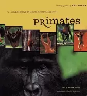Image of primates the amazing world of lemurs monkeys and apes