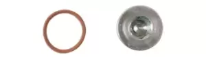 Image of HGV Sump Plug to suit Renault Pk 1 Connect 33151
