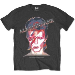 image of David Bowie - Aladdin Sane Unisex Large T-Shirt - Grey