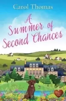 Image of A Summer of Second Chances