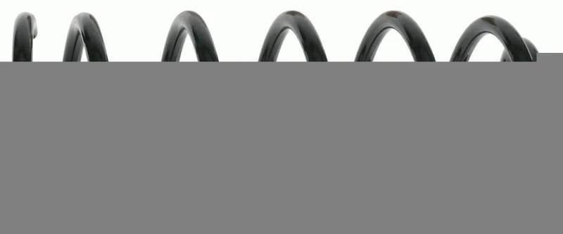 Image of Coil spring SACHS 997 028