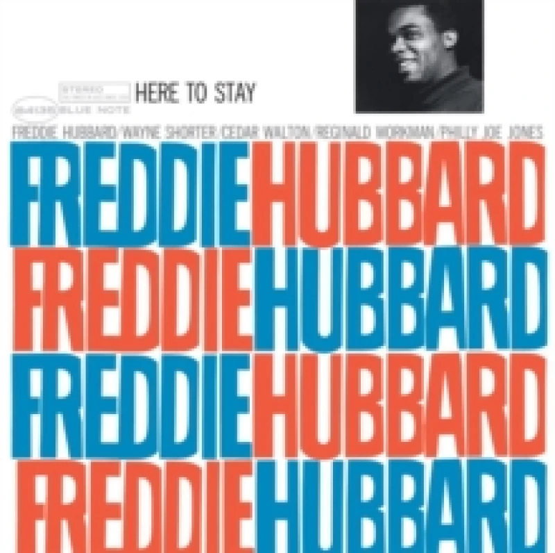 Image of Here to Stay Vinyl