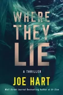 Image of Where They Lie : A Thriller