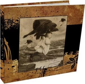 Image of The Fall by Se Delan CD Album