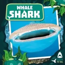 Image of Whale Shark : Teeth to Tail